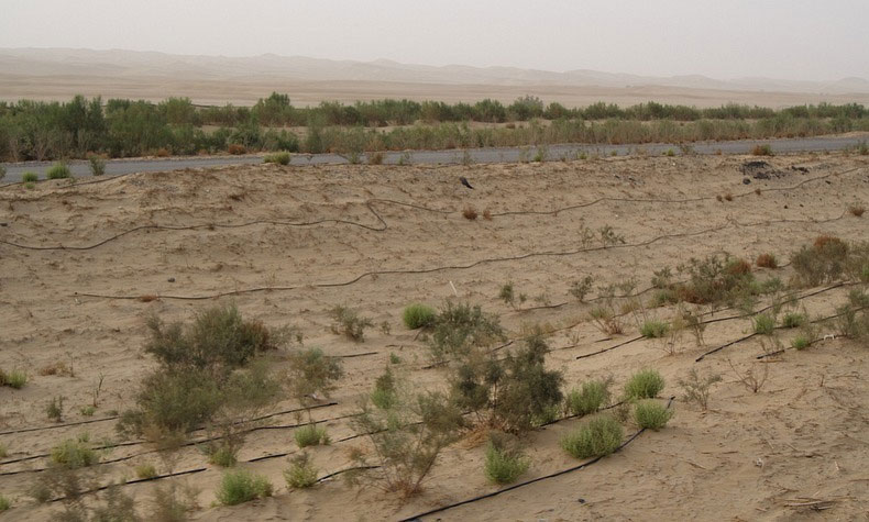 Picture 10 of Explore the world's longest desert highway