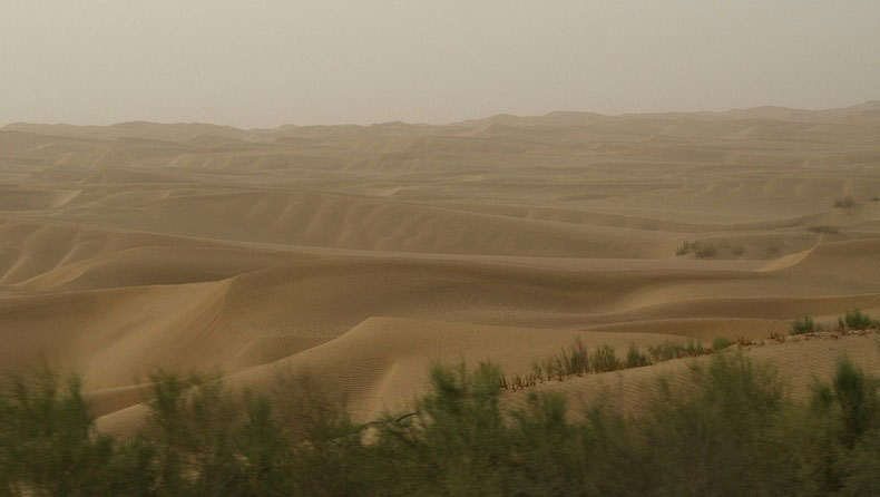 Picture 9 of Explore the world's longest desert highway