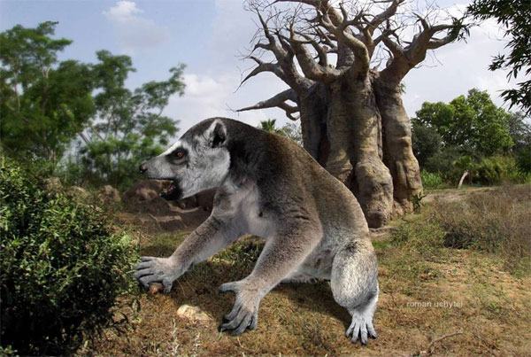 Picture 2 of Extinct animals are forgotten by humans