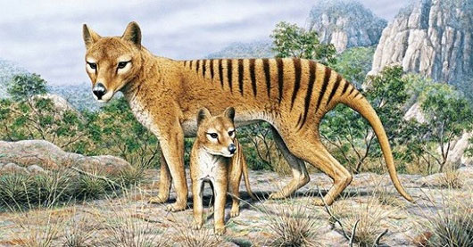 Picture 2 of Extinct animals have the opportunity to
