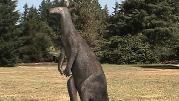 Picture 1 of Extract DNA of two ancient kangaroo species
