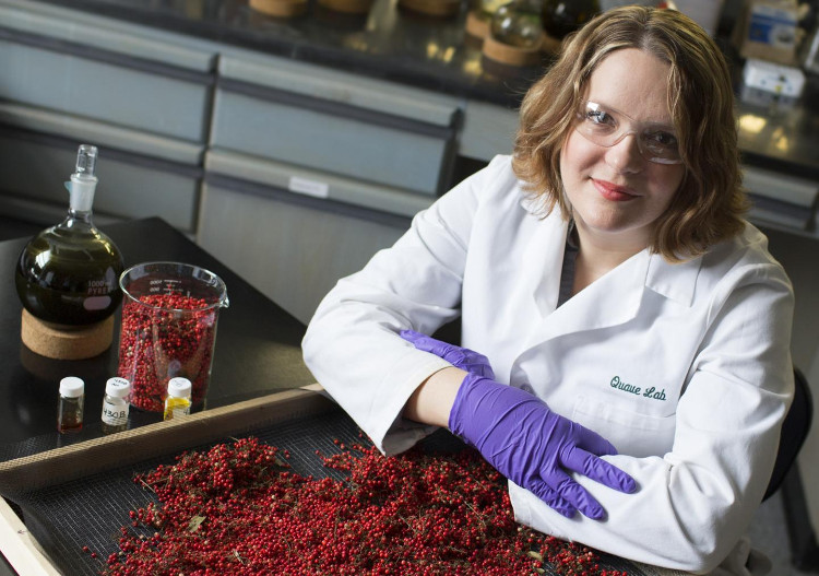 Picture 3 of Extract from this fruit can fight deadly bacteria