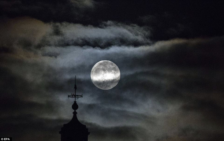 Picture 7 of Extremely rare wolf moon appears all over the world