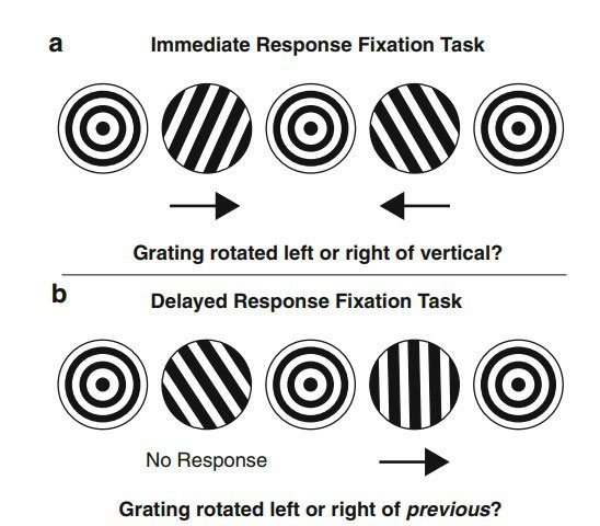 Picture 3 of Eye contact is what distracts you when driving, not the brain