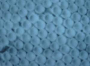 Picture 2 of Fabrication of semiconductor nanocrystals in Vietnam