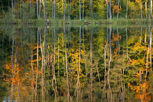 Picture 11 of Fall colors all over the world