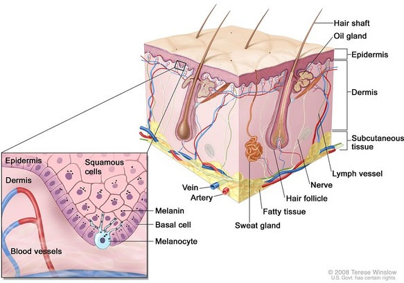 Picture 12 of 'Falling back' about women defying to whiten skin from ancient needles