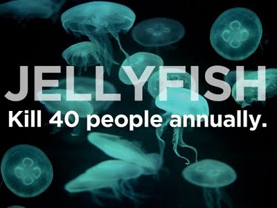 Picture 13 of Familiar things kill people better than sharks