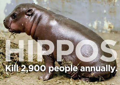 Picture 4 of Familiar things kill people better than sharks