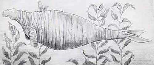 Picture 4 of Famous extinct animals