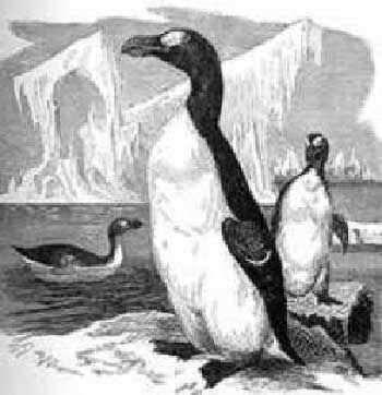 Picture 8 of Famous extinct animals