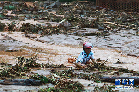 Picture 4 of Fanapi stormed into Guangdong, 13 people were killed