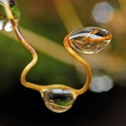 Picture 1 of Fantasy water drops shimmering