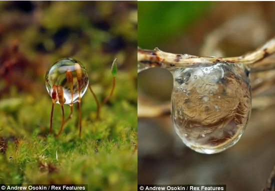 Picture 10 of Fantasy water drops shimmering