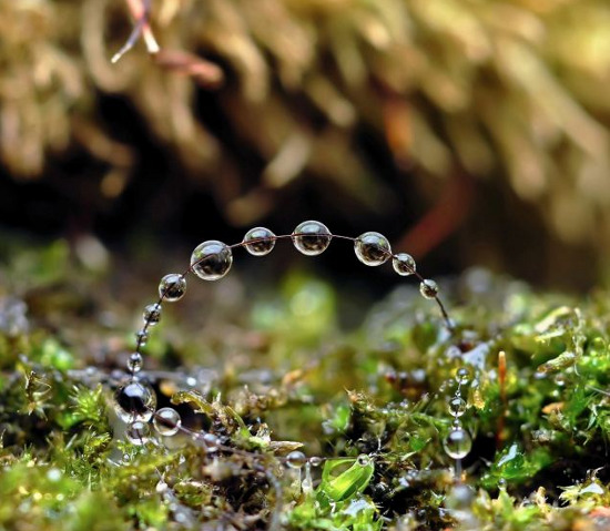 Picture 2 of Fantasy water drops shimmering