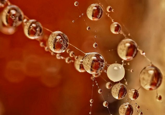 Picture 3 of Fantasy water drops shimmering