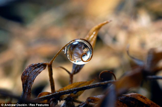 Picture 5 of Fantasy water drops shimmering