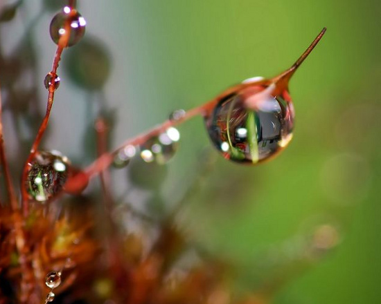 Picture 7 of Fantasy water drops shimmering