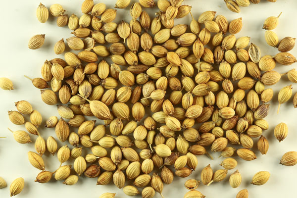 Picture 1 of FAO approved a plan to protect plant genetic resources