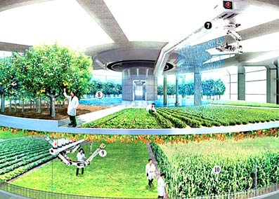 Picture 2 of Farm in buildings - Sustainable solutions for urban in the 21st century