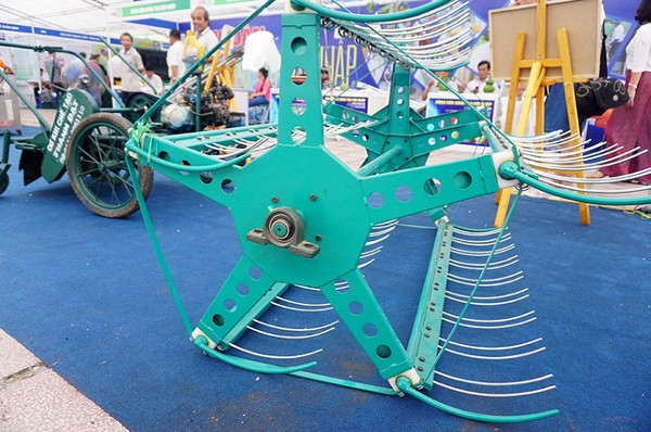 Picture 5 of Farmers 'demonstration' products at the science market