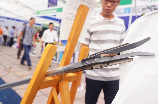 Picture 6 of Farmers 'demonstration' products at the science market