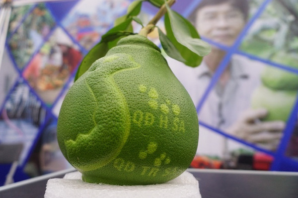 Picture 8 of Farmers 'demonstration' products at the science market