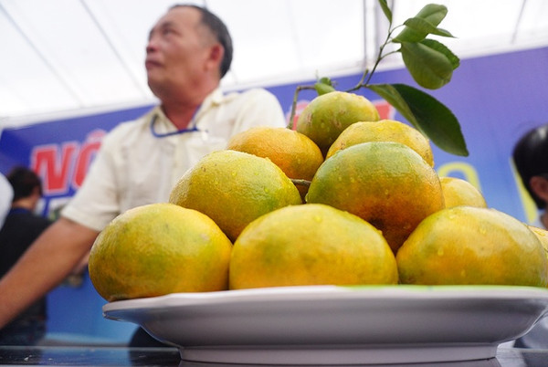 Picture 9 of Farmers 'demonstration' products at the science market
