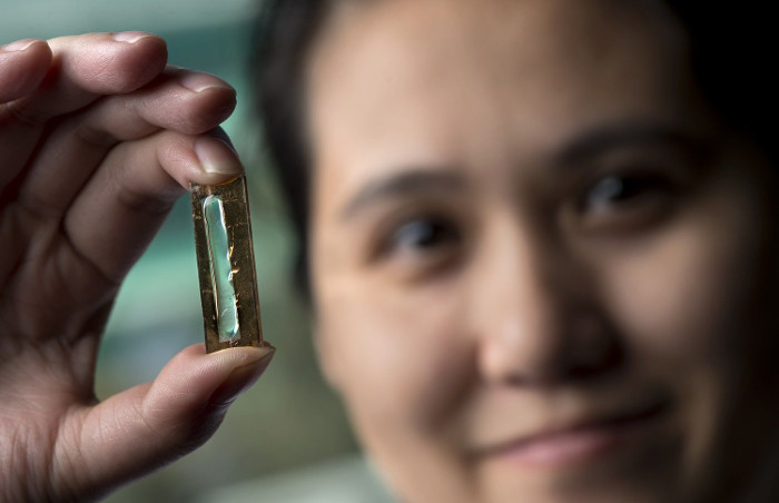 Picture 2 of Female Vietnamese graduate student invented lithium battery for life