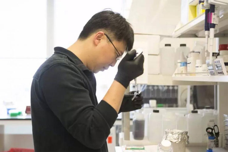 Picture 2 of Feng Zhang - one of the best scientists in the contemporary world