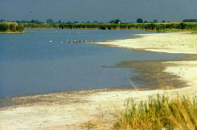 Picture 3 of Ferto / Neusiedler cultural landscape
