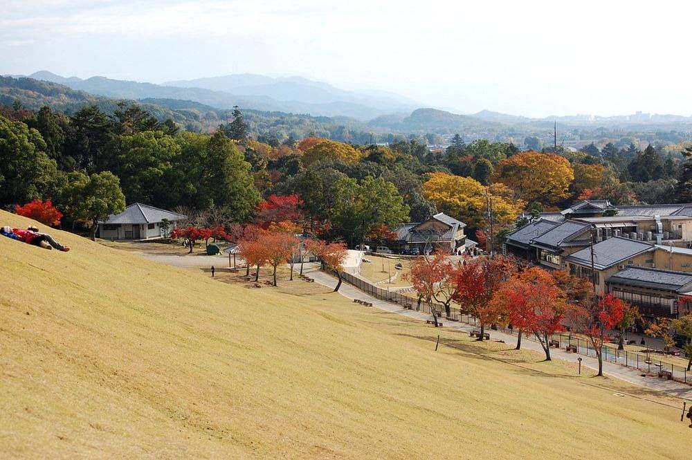 Picture 8 of Festival of burning a whole mountain in Japan