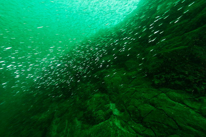 Picture 11 of Filled with the fanciful, wild beauty of the lake when the ice melts