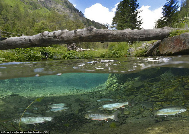 Picture 6 of Filled with the fanciful, wild beauty of the lake when the ice melts
