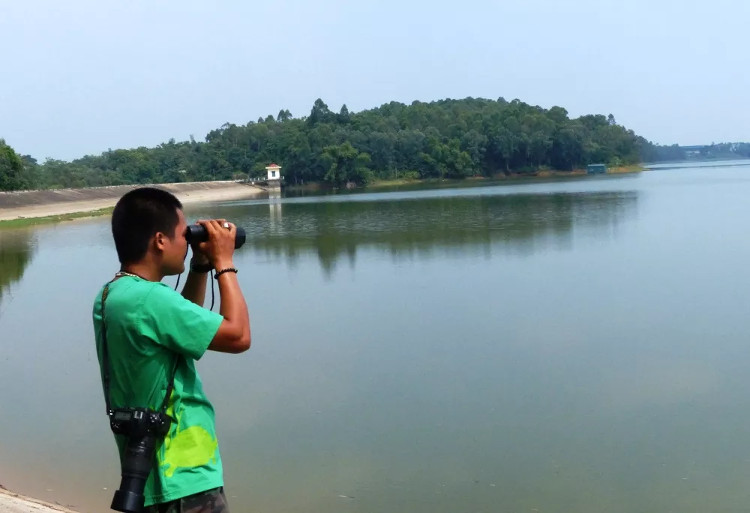 Picture 3 of Find a more individual Hoan Kiem turtle in the wild