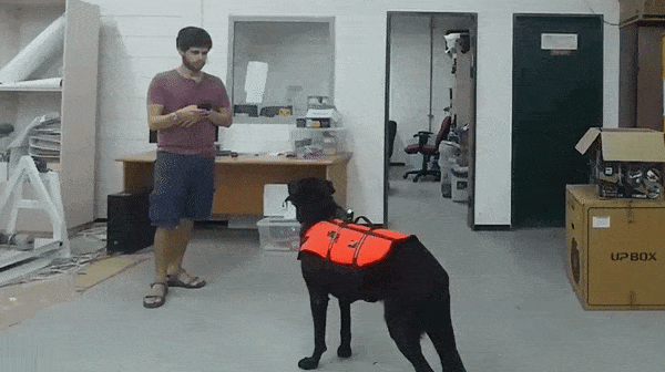Picture 1 of Find a way to control a dog without whistling, waving or issuing a command