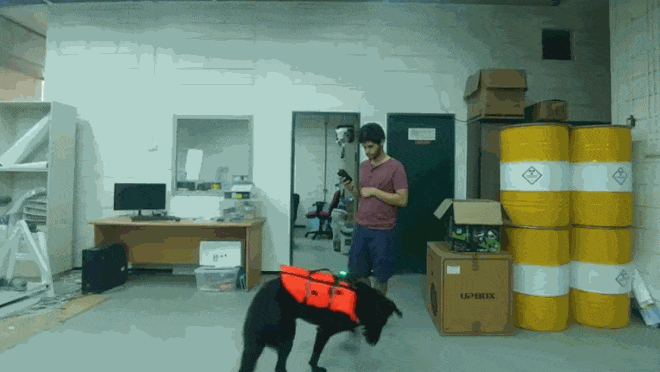 Picture 2 of Find a way to control a dog without whistling, waving or issuing a command