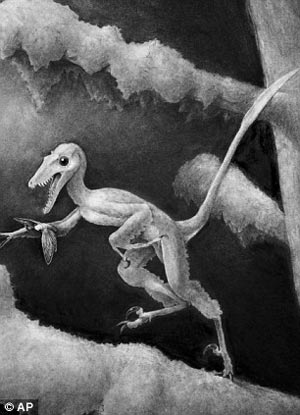 Picture 1 of Find dinosaurs just as big as ... rabbits