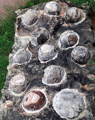 Picture 1 of Find hundreds of nesting dinosaur eggs in India