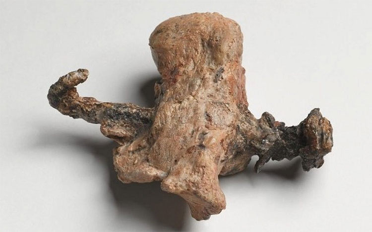 Picture 1 of Find new evidence that the true Jesus died from crucifixion