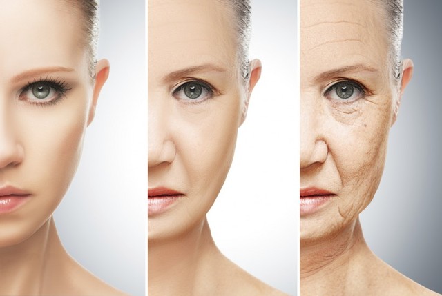 Picture 1 of Find out the culprit of the aging process