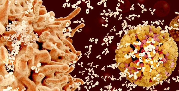 Find out the mechanism that causes the disease to destroy itself images 1