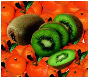 Picture 2 of Find out the mystery of the mechanism of vitamin C synthesis in plants