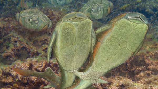 Picture 2 of Find out the origin of humanity's first mating