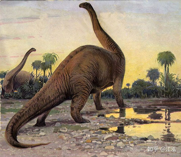 Picture 1 of Find out what determines the color of a dinosaur