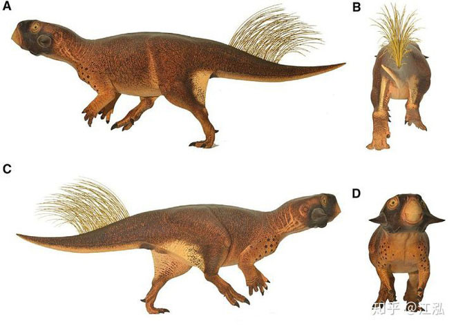 Picture 14 of Find out what determines the color of a dinosaur