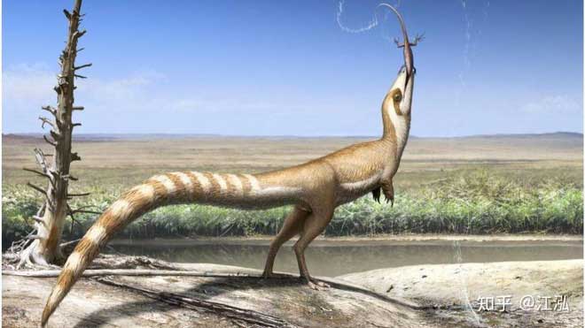 Picture 5 of Find out what determines the color of a dinosaur