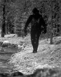 Find Snowman, Loch Ness monster with satellite image images 1