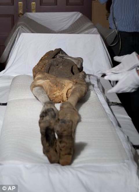Picture 2 of Find strange wrap in Egyptian mummies