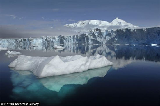 Picture 2 of Find the answer to Antarctic paradox